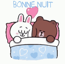 bonne nuit chat et ours